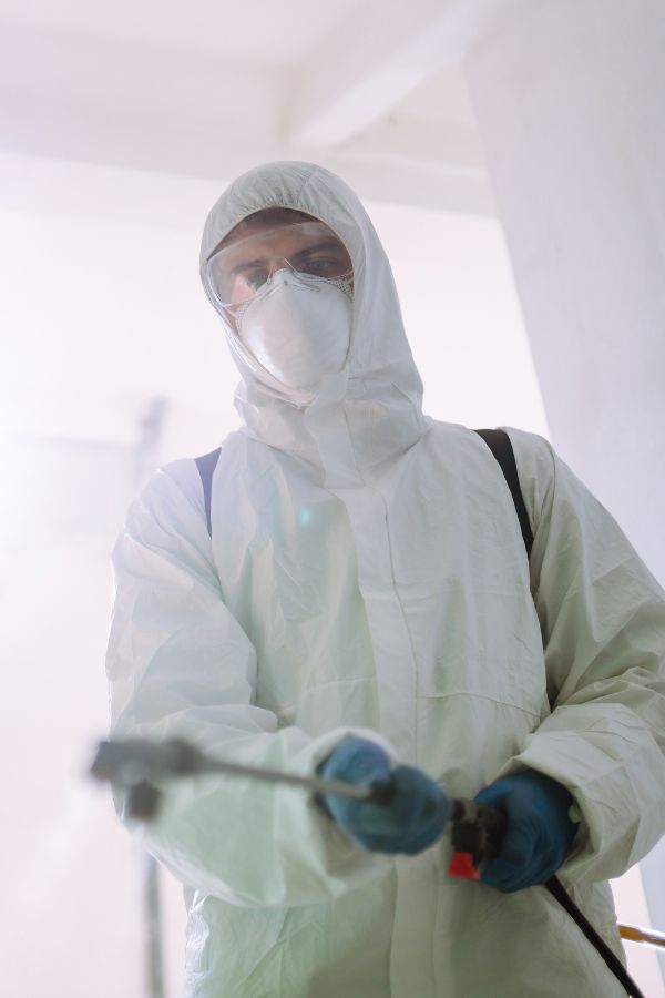 Schädlingskontrolle Aachen - Kammerjäger - Schädlingsbekämpfung - Prävention - Bekämpfung von Schädlingen