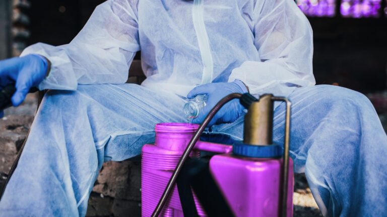 Kammerjäger Notdienst Aachen - Schädlingskontrolle Aachen - Kammerjäger - Schädlingsbekämpfung - Wespen - Ameisen - Motten - Ratten - Mäuse - Maden - Kakerlaken - Tauben - Marder