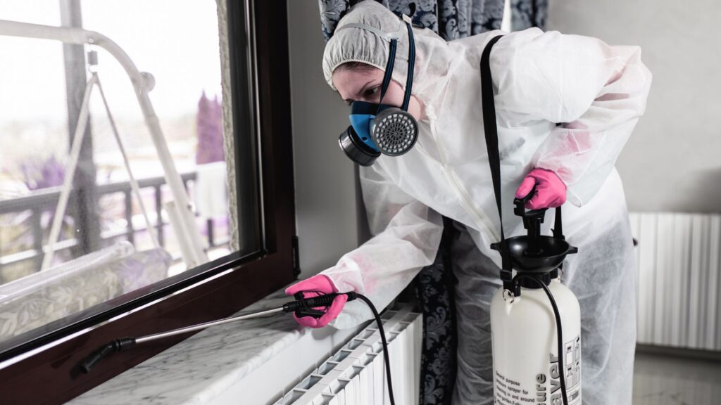 Kammerjäger in Aachen - Schädlingskontrolle Aachen - Schädlingsbekämpfung - Wespen - Ameisen - Mäuse - Ratten - Silberfische