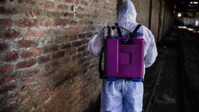 Kammerjäger in Aachen - Schädlingskontrolle Aachen - Schädlingsbekämpfung - Wespen - Ameisen - Mäuse - Ratten - Silberfische