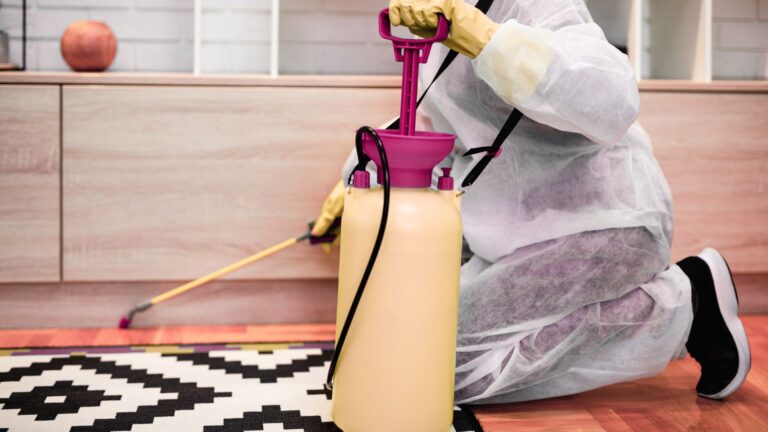 Kammerjäger in der Nähe Aachen - Schädlingskontrolle Aachen - Schädlingsbekämpfung - Wespen - Ameisen - Mäuse - Ratten - Silberfische