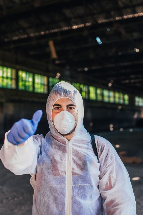 Kammerjäger in Aachen - Schädlingskontrolle Aachen - Schädlingsbekämpfung - Wespen - Ameisen - Mäuse - Ratten - Silberfische