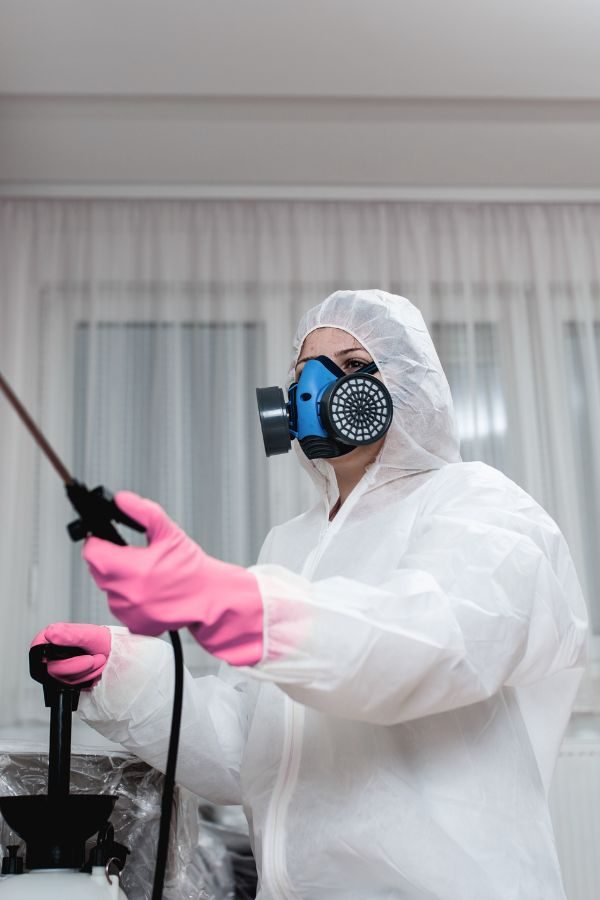 Kammerjäger in der Nähe Aachen – Schädlingskontrolle Aachen – Schädlingsbekämpfung – Wespen – Ameisen – Mäuse – Ratten – Silberfische Kammerjäger in der Nähe Aachen - Schädlingskontrolle Aachen - Schädlingsbekämpfung - Wespen - Ameisen - Mäuse - Ratten - Silberfische